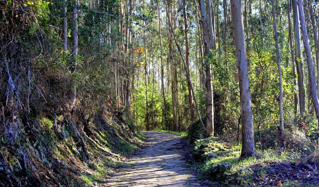 Apartamentos Turisticos La Flor Muros de Nalón Dış mekan fotoğraf